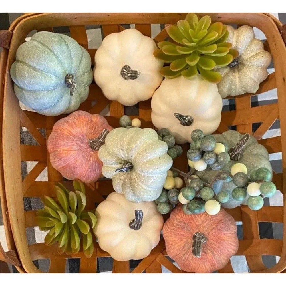Fall Autumn Thanksgiving Gourds Succulents Pumpkin Bowl Fillers Berries Tabletop